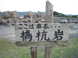 Y