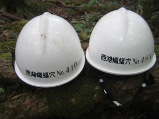 wbg