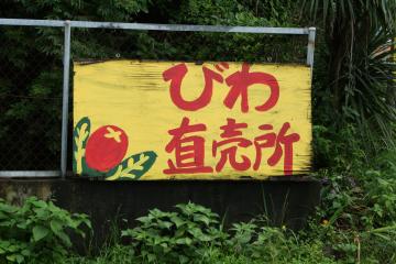 т풼