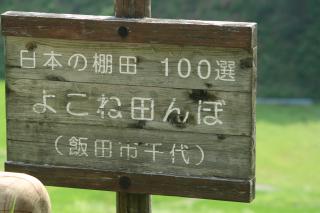 悱˓c