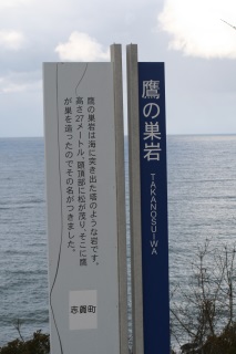 ̑