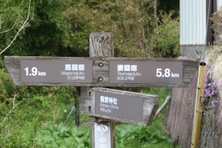 哹