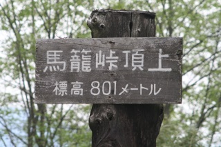 哹