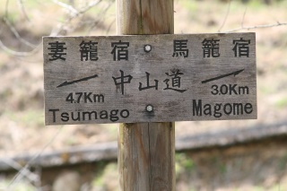 哹
