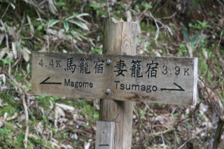 哹